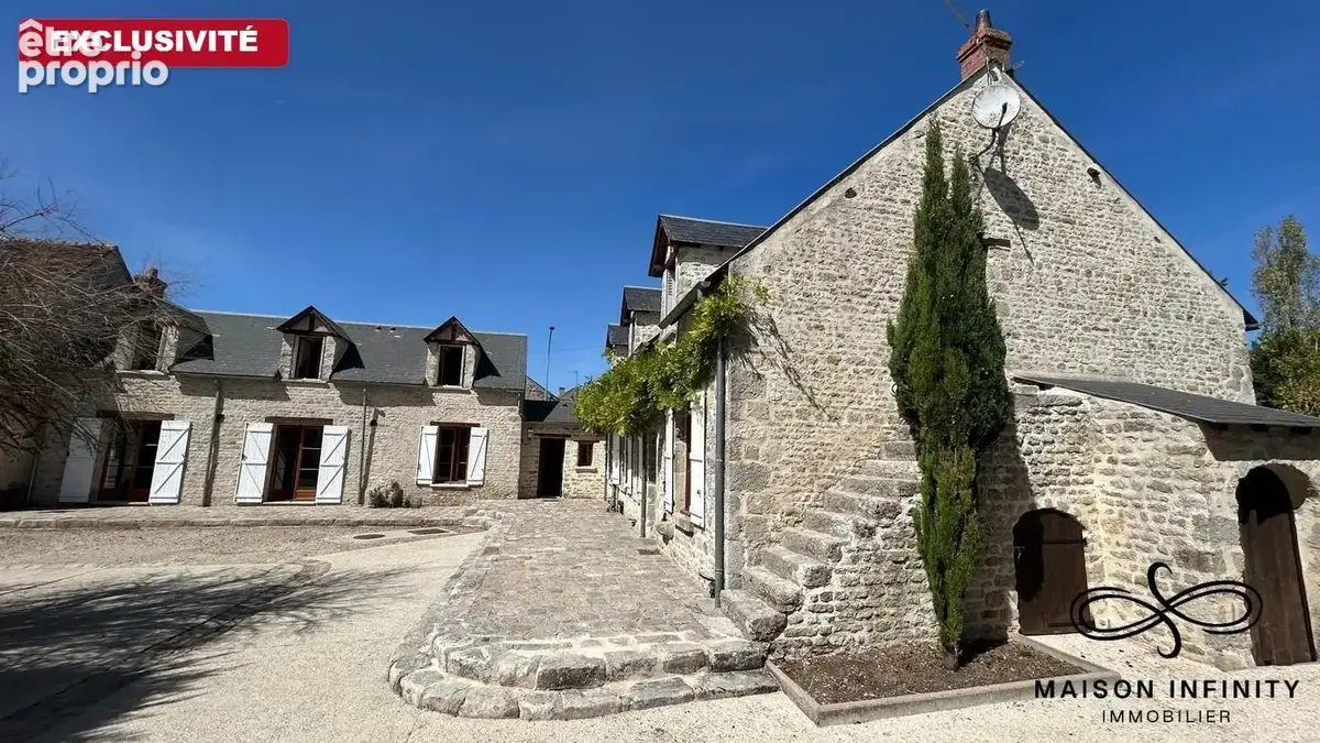Maison 10 pièces 280 m² à vendre à Pithiviers-Le-Vieil (45300) - photo 2