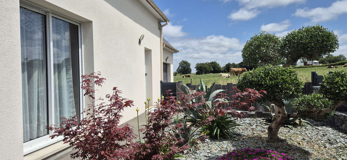 Maison à VAIGES