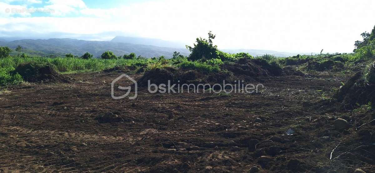 Terrain à BRAS-PANON