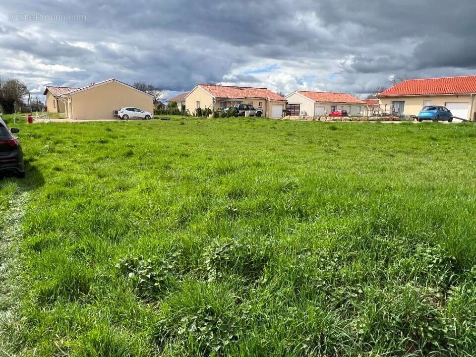 Terrain à SAINT-BENIGNE