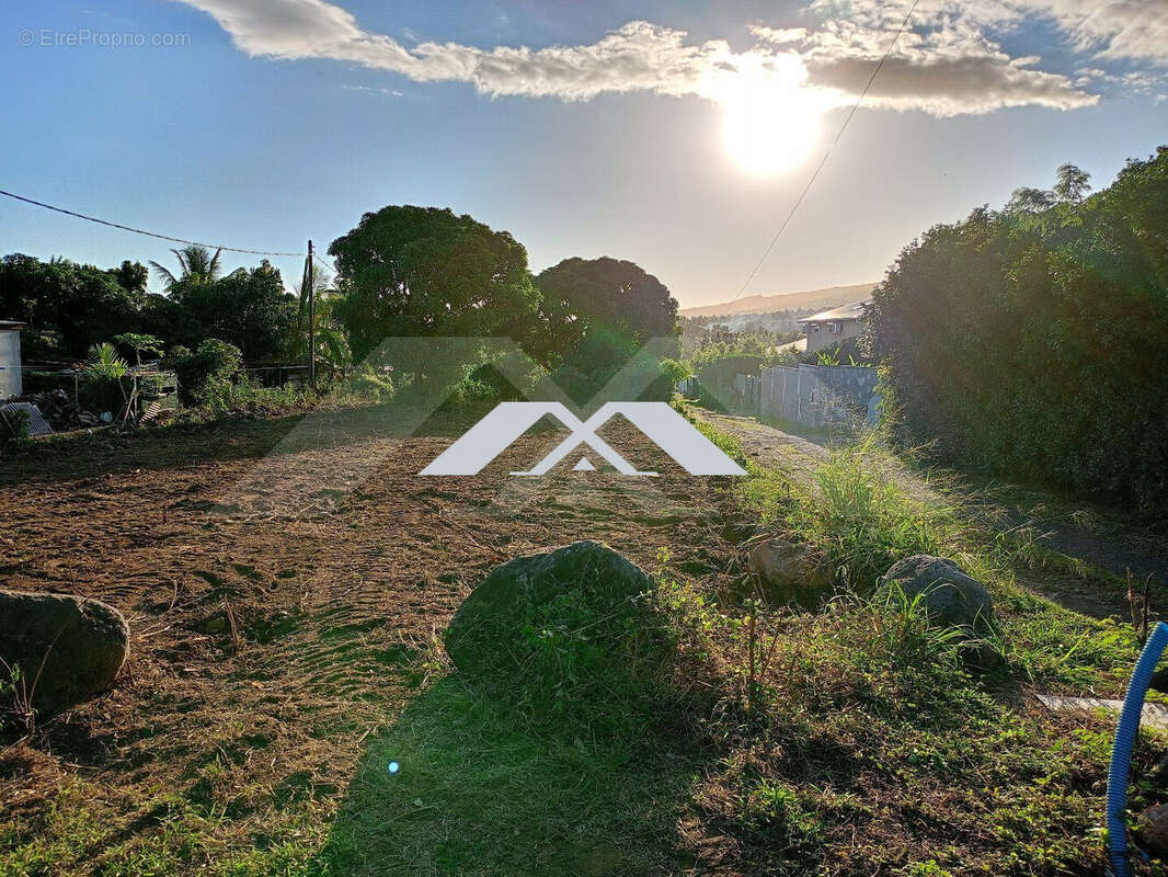 Terrain à SAINT-LOUIS