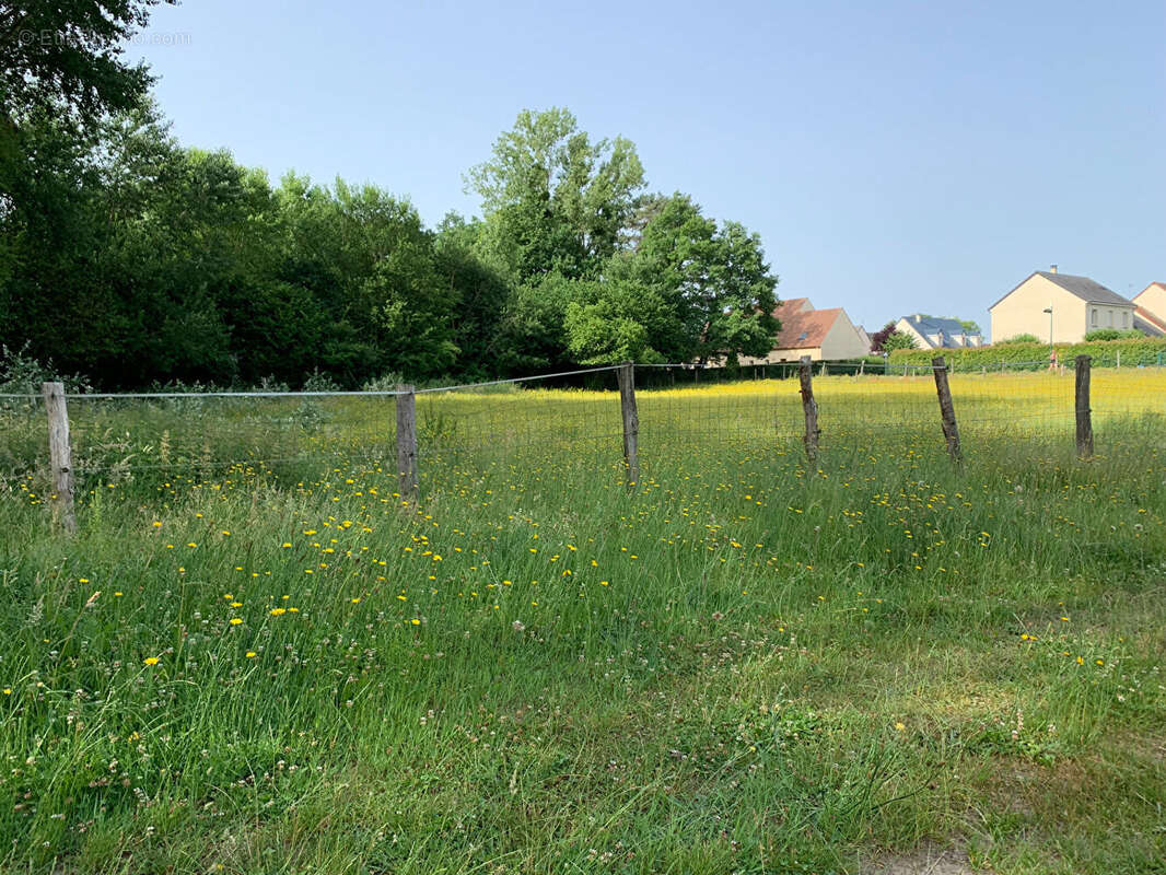 Terrain à ATHIES-SOUS-LAON