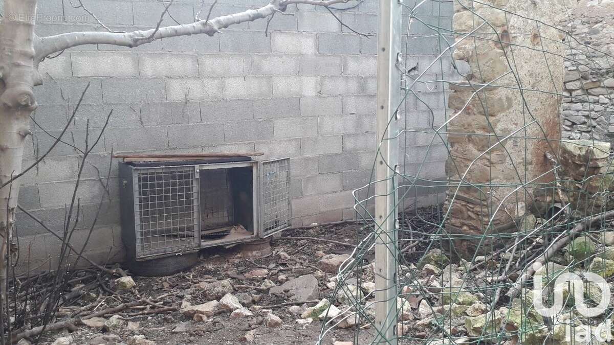 Photo 5 - Maison à VILLENEUVE-MINERVOIS