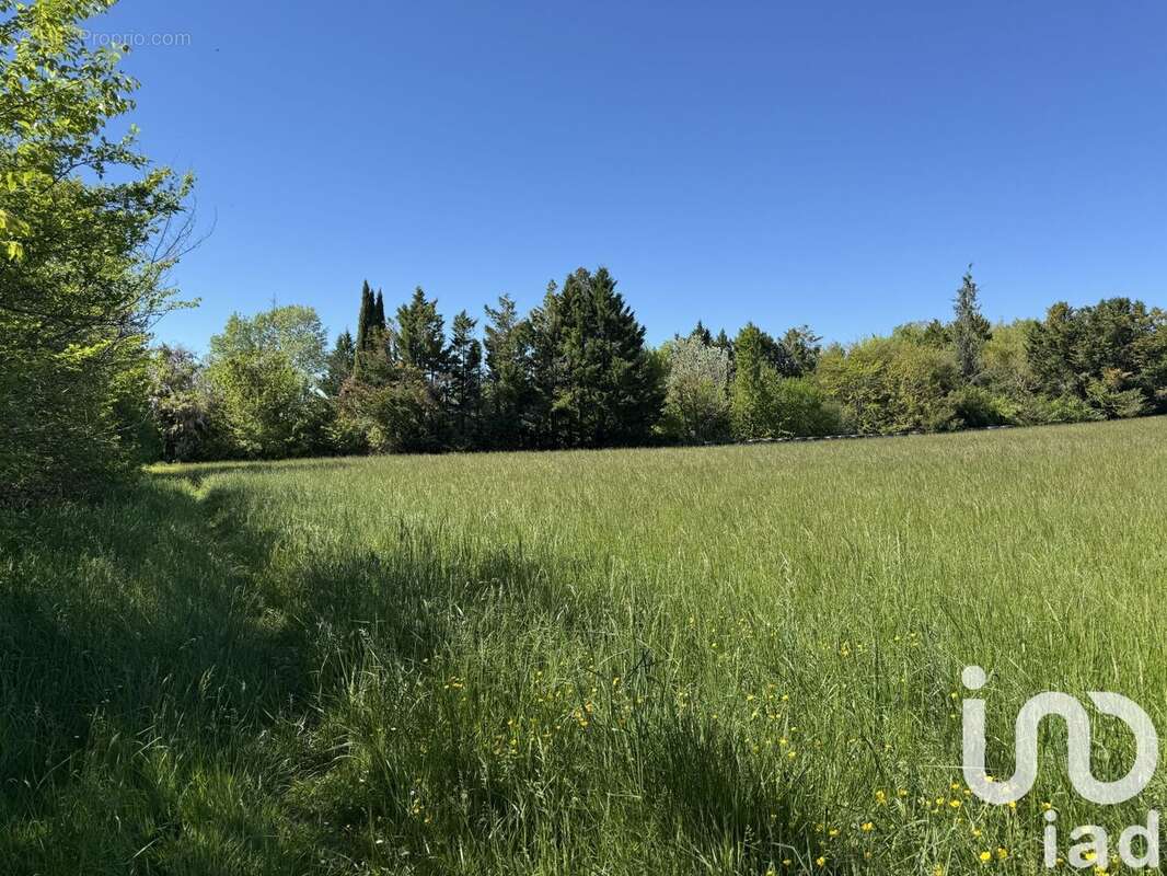 Photo 3 - Terrain à VILLEBRUMIER