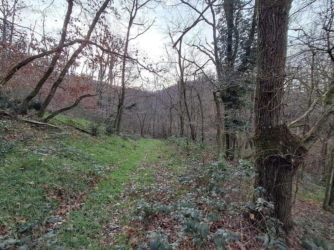 Photo 2 - Terrain à CHASSELAY