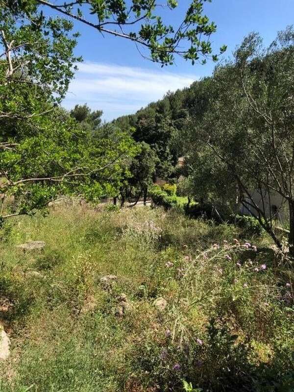 Photo 8 - Terrain à LA VALETTE-DU-VAR