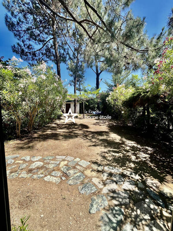 Appartement à BORGO