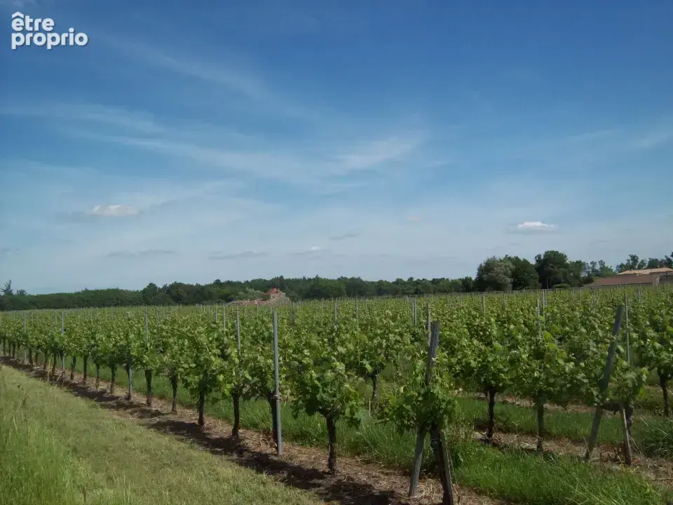 Terrain à LUGON-ET-L'ILE-DU-CARNAY