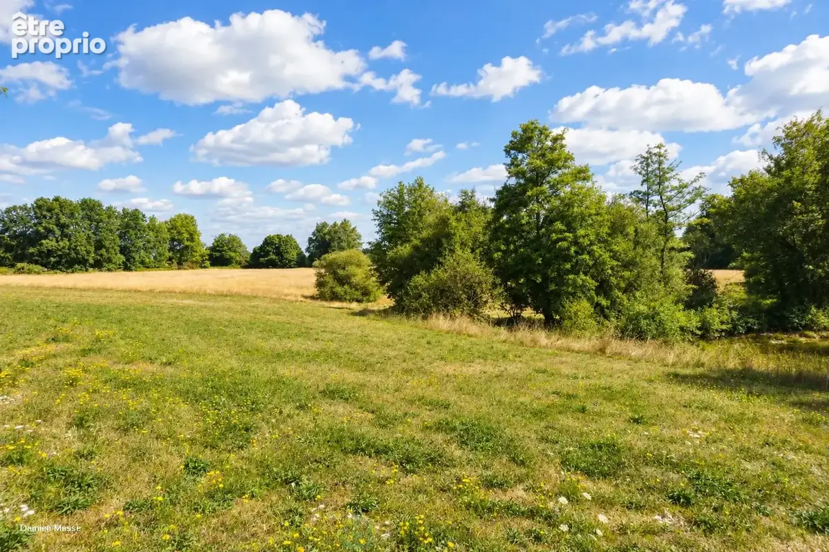Ancien corps de ferme niché au coeur de 10 hectares de nature verdoyante et préservée, dans le Périgord vert. - photo 15