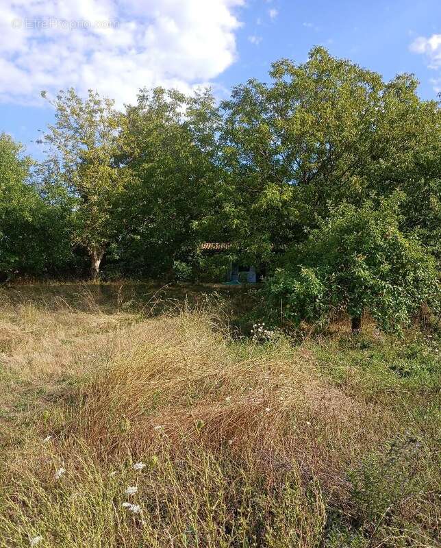 Terrain constructible - photo 8