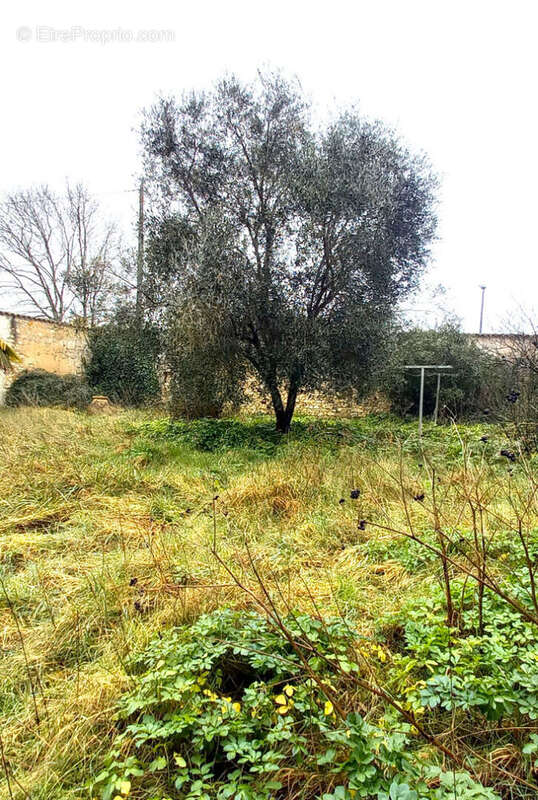 Maison à LESPARRE-MEDOC