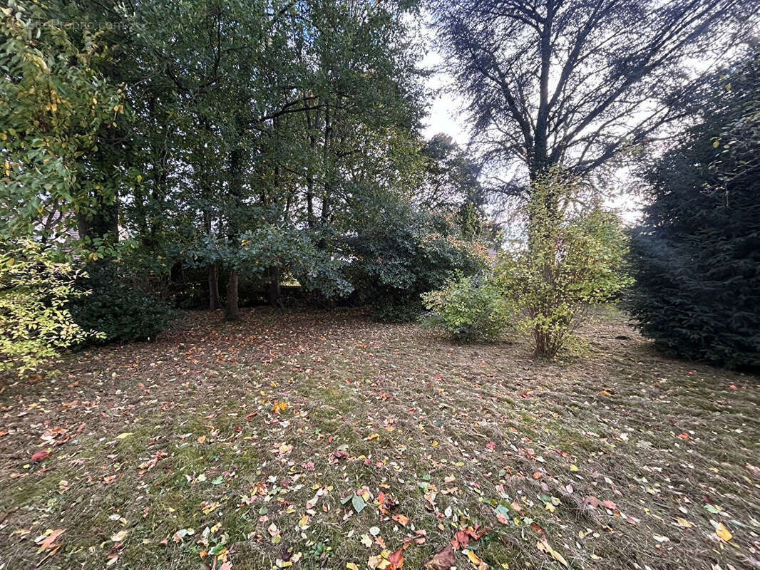 Maison à MONTIGNY-SUR-LOING