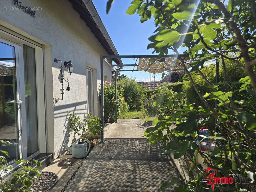 6 Pièces · 155 m2  -Rixheim 68170 · Quartier Centre-ville - Collines - photo 9