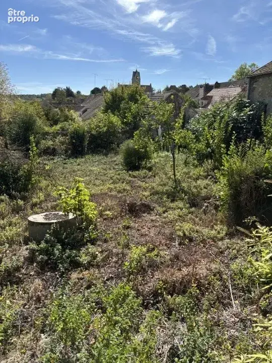 Salins corps de ferme à réhabiliter - photo 22