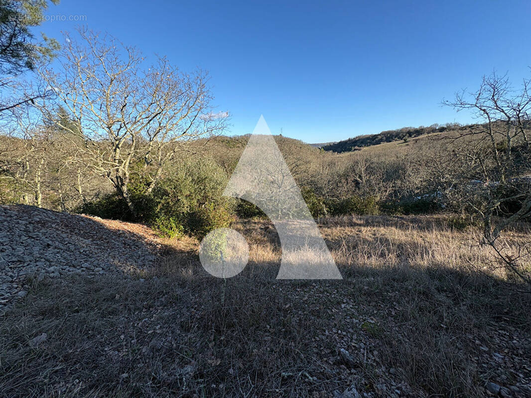 Terrain à SAINT-ETIENNE-DE-FONTBELLON