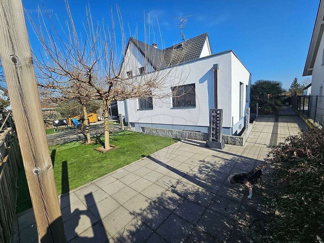 Maison à ROGGENHOUSE