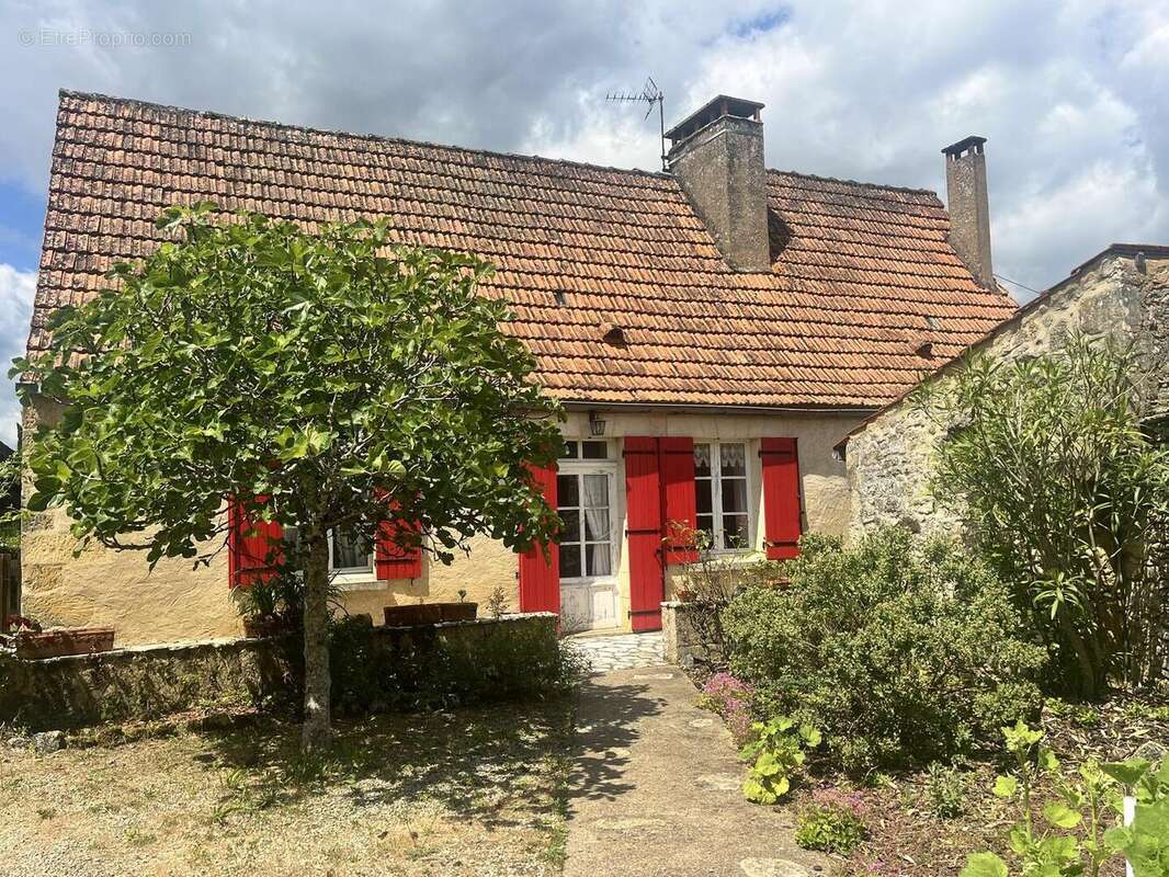 IMG7698 - Maison à BEYNAC-ET-CAZENAC