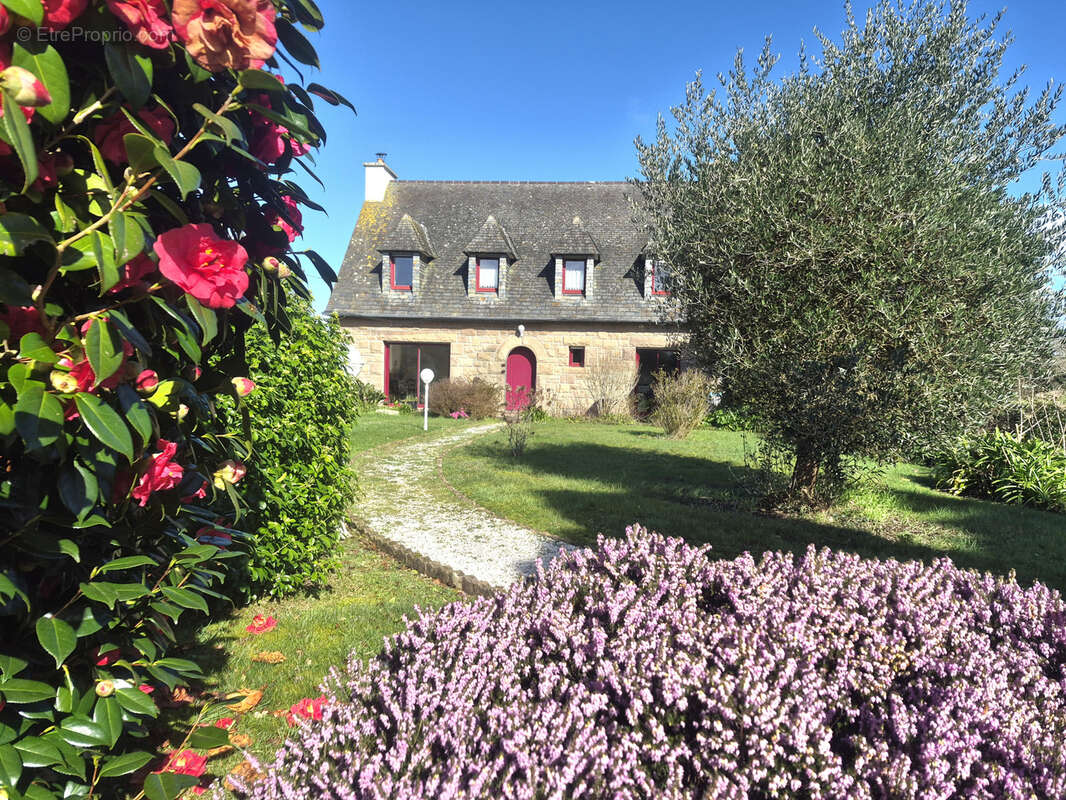 Maison à PLEUMEUR-BODOU