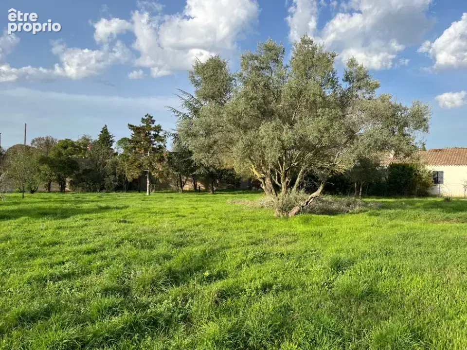 Terrain 256 m² à Bollene  - photo 4