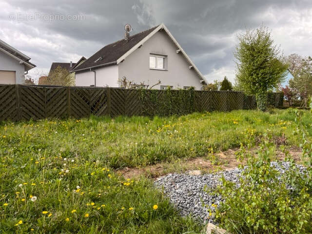 MAISON VALFF à 5 minutes d'OBERNAI - 233 m2 sur 6.65 ares - 499.900€ FAI - photo 9