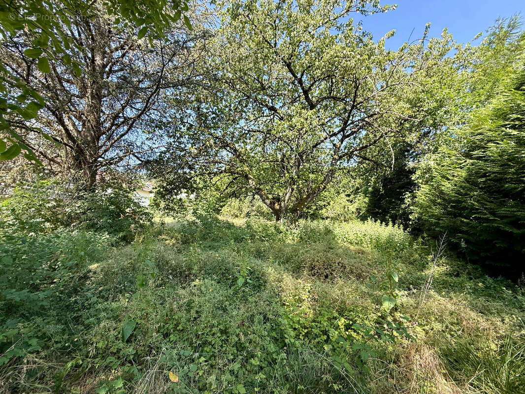 Terrain à LEAZ