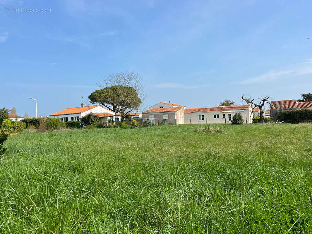 Terrain à LE CHATEAU-D&#039;OLERON