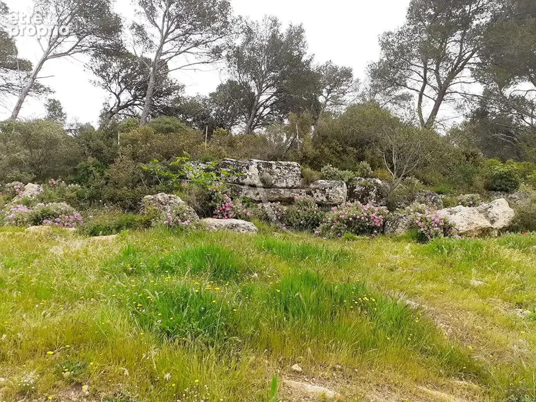 Terrain Istres 548 m2 - photo 5