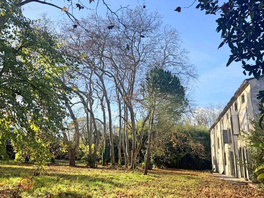 Maison à CARCASSONNE