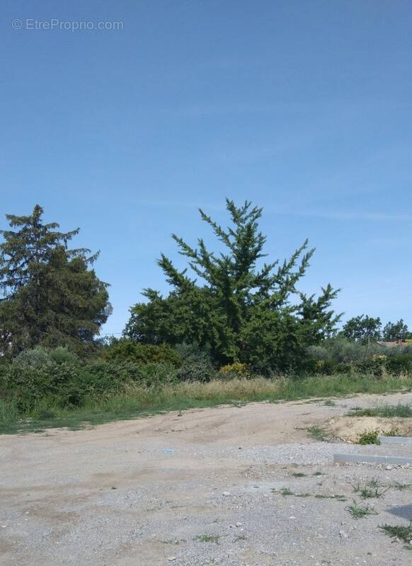 Terrain à PIERREVERT