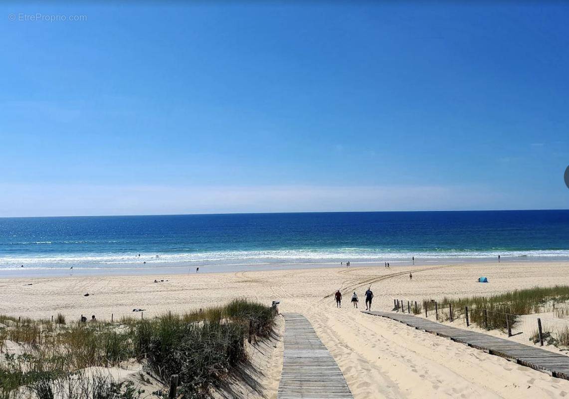 Terrain à LEGE-CAP-FERRET