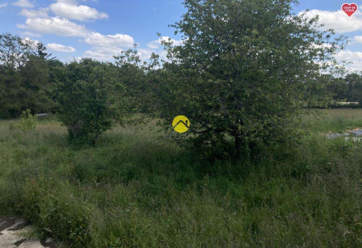 Maison à ALLIGNY-COSNE