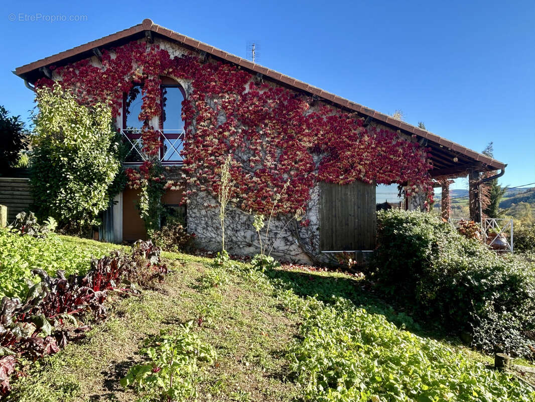 Maison à AMPLEPUIS