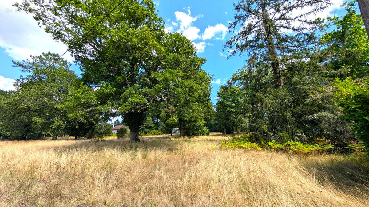 Maison à MONT-DE-MARSAN