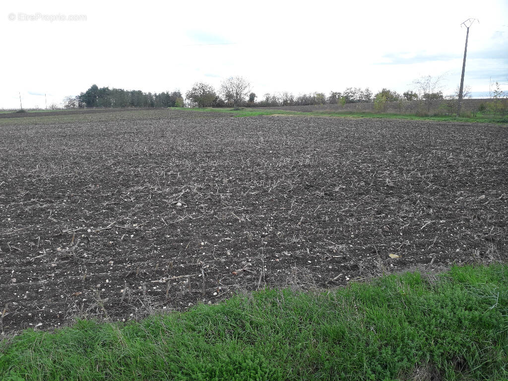 Terrain à SAINT-POURCAIN-SUR-SIOULE