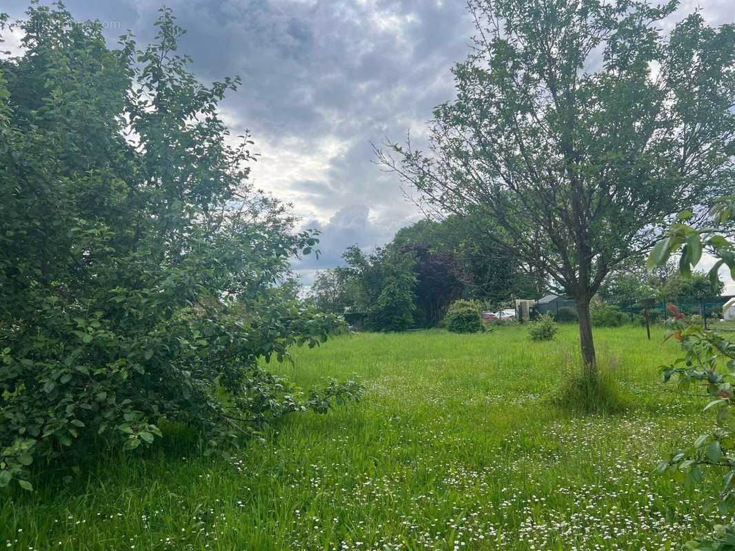 Terrain à MAREST-DAMPCOURT