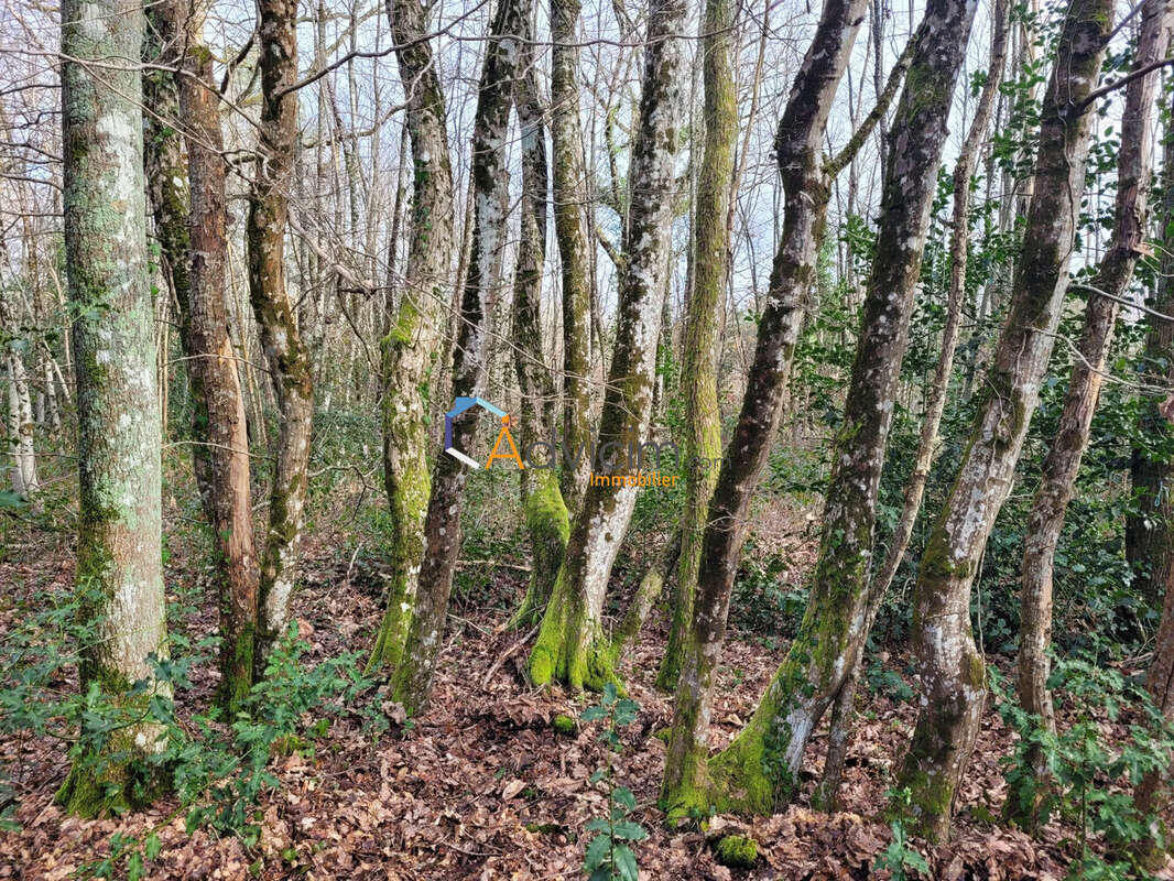 Terrain à PRESLY