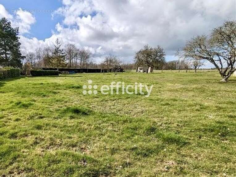 Terrain à MAZIERES-DE-TOURAINE