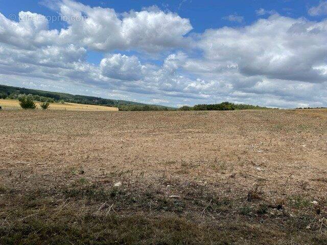 Terrain à BONNES