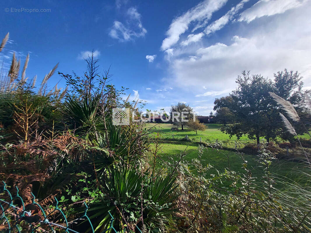 Terrain à PONTENX-LES-FORGES
