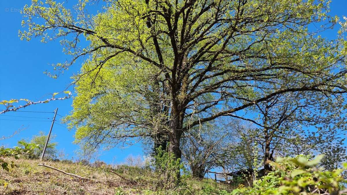 20260408125641 - Maison à BAGNAC-SUR-CELE