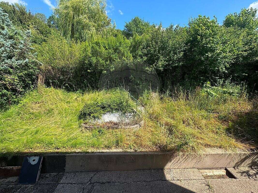 Maison 3 chambre(s) à vendre - photo 12