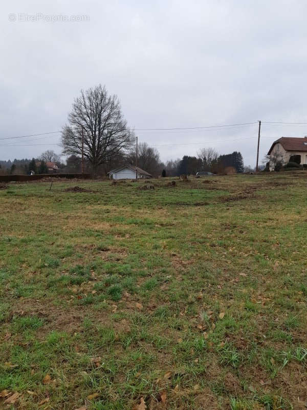 Terrain à LA VOIVRE