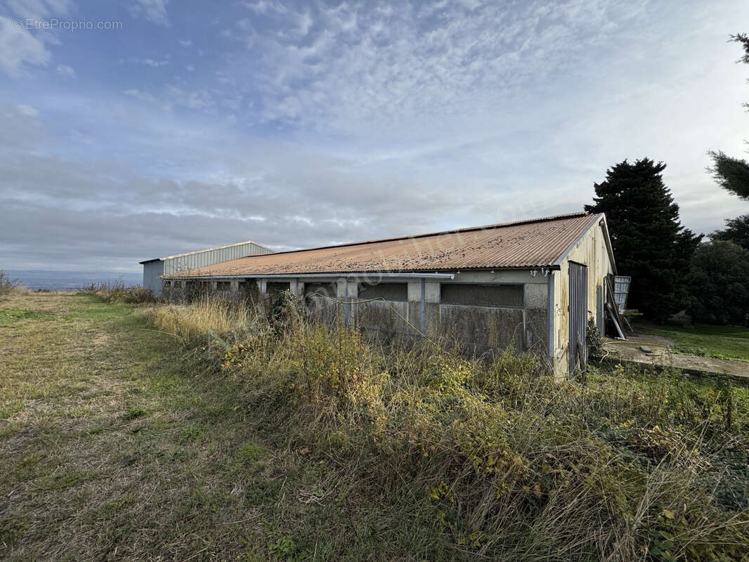 Maison à CARCASSONNE