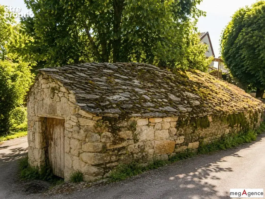 Mas-St-Chély – Maison 10 pièces avec jardin - photo 6