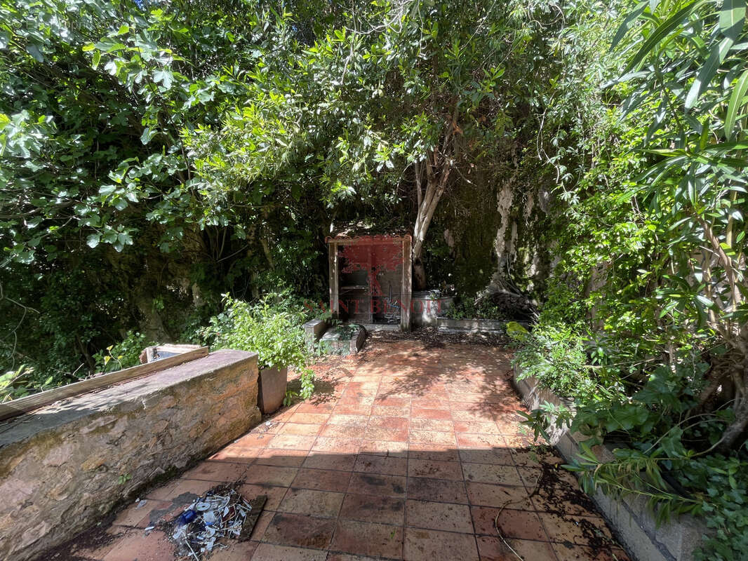 Maison de type t3 sur 2 niveaux et un appartement de type t2 sur une parcelle arboree de 6069m2 avec un bassin - photo 14