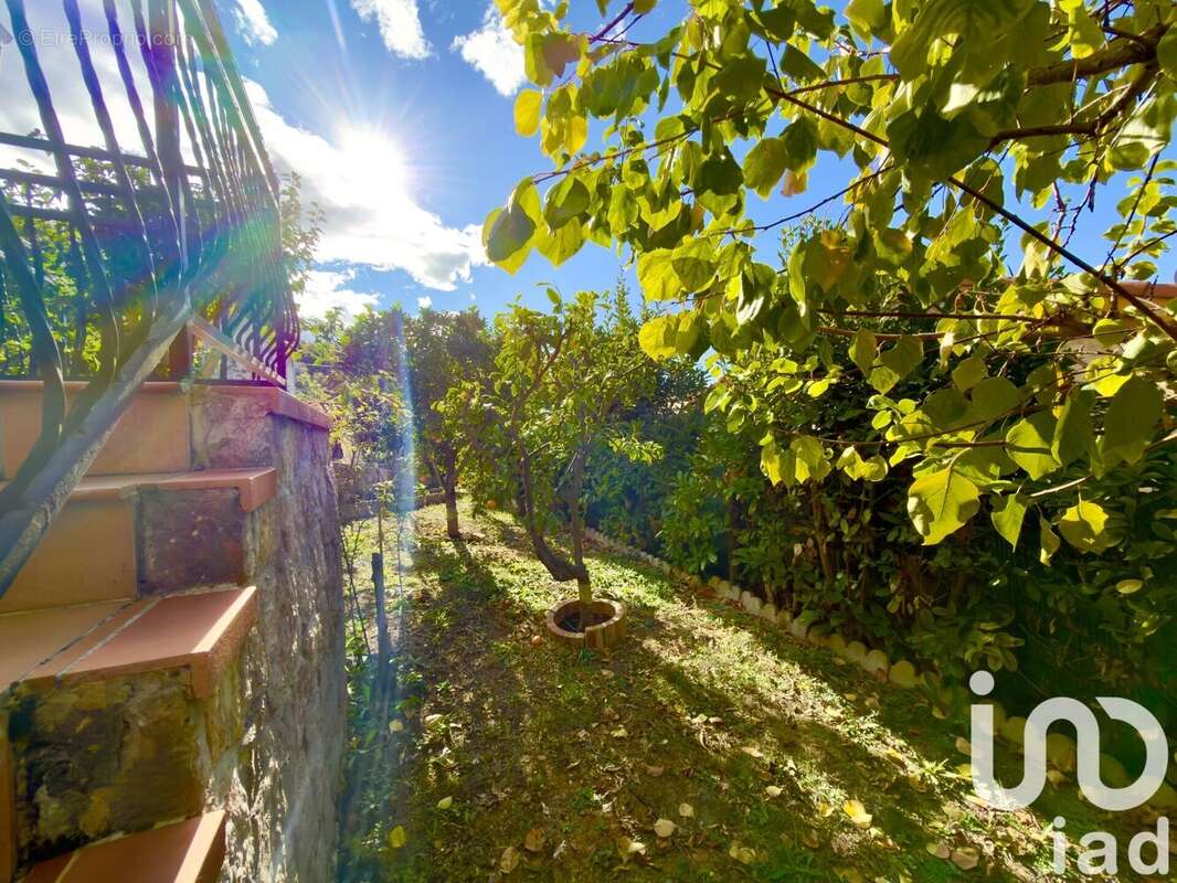 Photo 7 - Maison à LA TRINITE