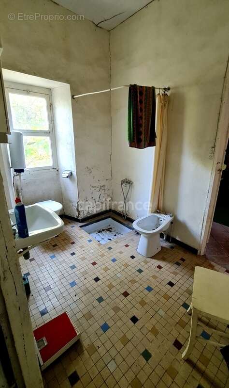 À vendre : Propriété à restaurer, à 10 mn d'Auvillar, d'environ 240 m2 habitables, sur terrain de 7400 m2  (82) - photo 12