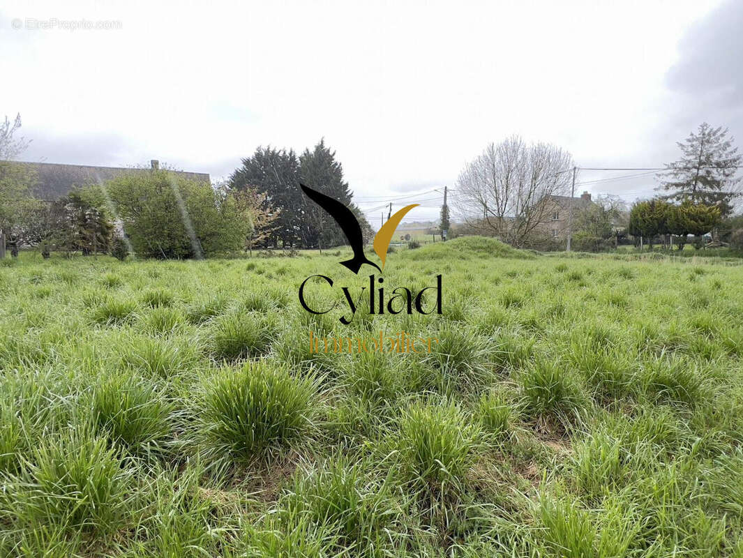 Terrain à LILLEMER