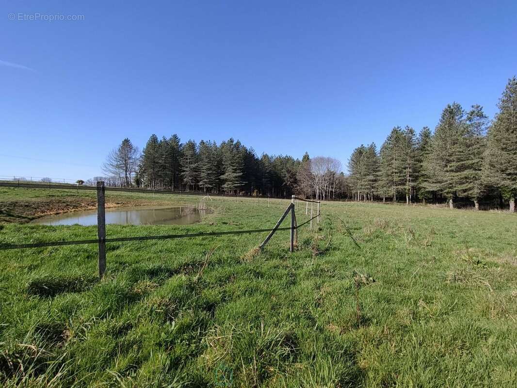 Propriété équestre de 5 hectares proche de Monpazier - photo 14
