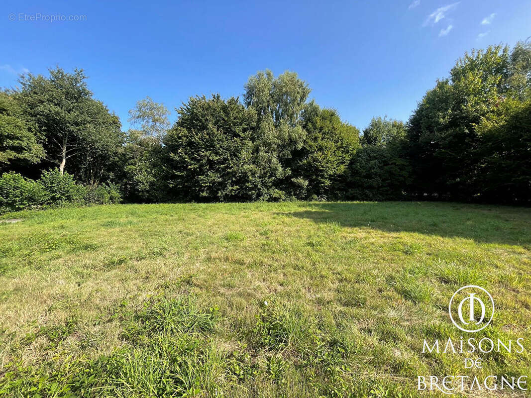 Terrain à LE TREVOUX